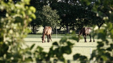 zorgboerderij