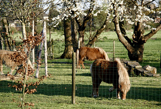 Foto genomen op de Wilhelminahoeve