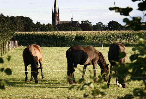 Foto genomen op de Wilhelminahoeve