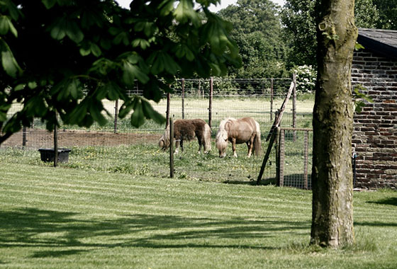 Foto genomen op de Wilhelminahoeve