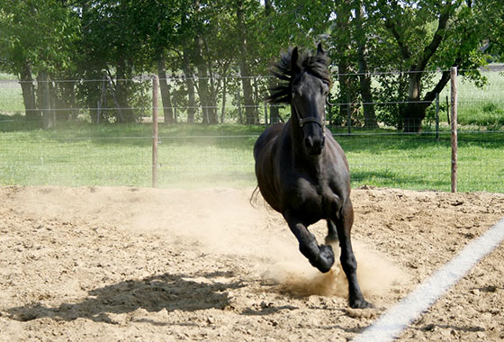 Foto genomen op de Wilhelminahoeve