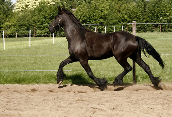 Foto genomen op de Wilhelminahoeve