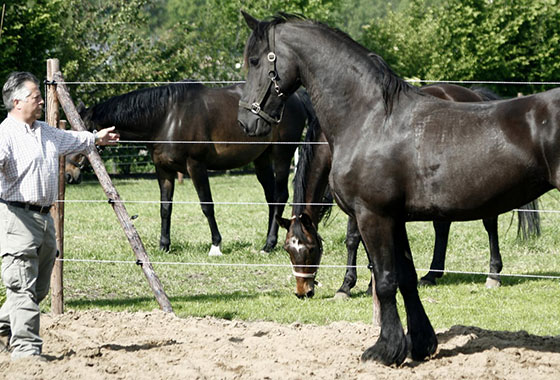 Foto genomen op de Wilhelminahoeve