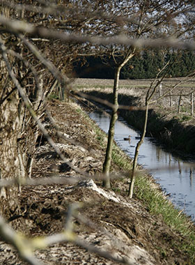 Foto genomen op de Wilhelminahoeve