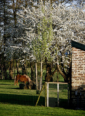 Foto genomen op de Wilhelminahoeve