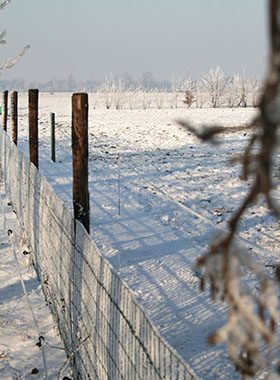 Foto genomen op de Wilhelminahoeve