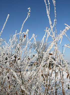 Foto genomen op de Wilhelminahoeve