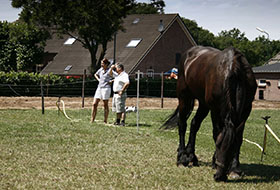 Foto genomen op de Wilhelminahoeve