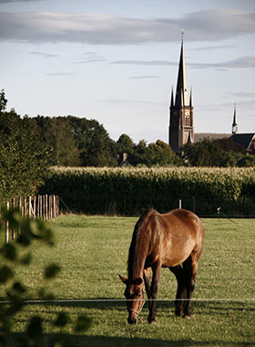 Foto genomen op de Wilhelminahoeve