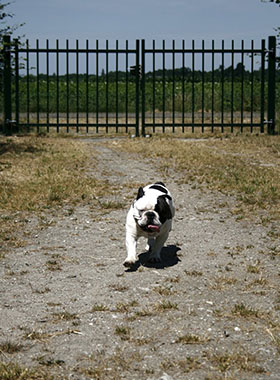 Foto genomen op de Wilhelminahoeve