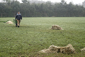 Foto genomen op de Wilhelminahoeve