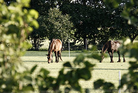 Foto genomen op de Wilhelminahoeve