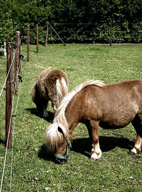 Foto genomen op de Wilhelminahoeve