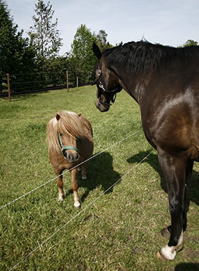 Foto genomen op de Wilhelminahoeve