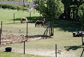 Foto genomen op de Wilhelminahoeve